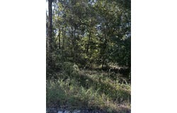NE 756th St, Old Town, FL 32680