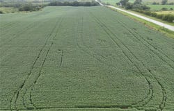 590th Street, IA 52555