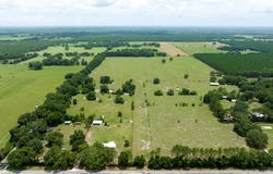 NW 50th St, Chiefland, FL 32626