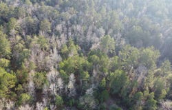 S County Line Road, Columbia, MS 39429