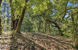 360 Rincon WAY, BOULDER CREEK, CA 95006