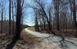 3B MAPLE BRIDGE RD, DILLWYN, VA 23936