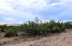 406 Sagebrush Road, Alpine, TX 79830