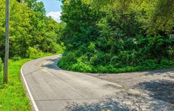 Sweet Creek, Eidson, TN 37731