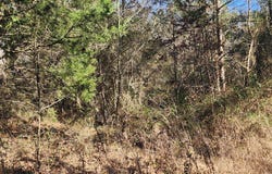 S Sauty Rd County Rd, Guntersville, AL 35755