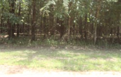 Eagle View Drive, Lewisville, AR 71845