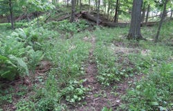 VL Rescue Road, Owendale, MI 48754