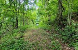 75 Rimrock Ridge, Clyde, NC 28721