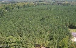 County Rd 2127, McCool, MS 39108