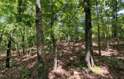 RIDGEHAVEN, Mammoth Spring, AR 72554