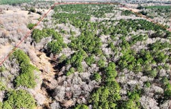 County Road 1784, Jefferson, TX 75657