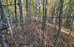 Dones Drive lot: 8, Murphy, NC 28906