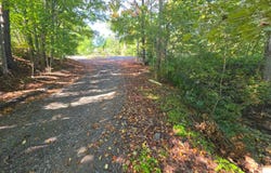 2WP State Hwy 41, Afton, NY 13730