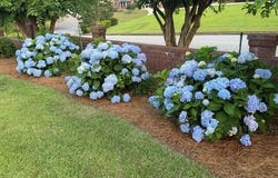 1364 Waterston Drive, Evans, GA 30809