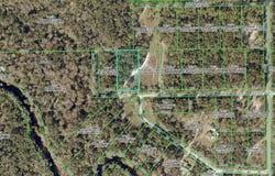 33099 CORAL ROCK Drive, WEBSTER, FL 33597