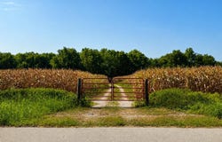 9550 Maple Road, Carthage, MO 64836