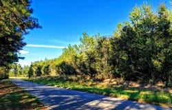 Nathan Jordan Rd, Millry, AL 36558
