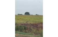 4562 hwy 77, Chilton, TX 76632