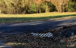 920 Oak Manor Rd, Mc Kenzie, TN 38201