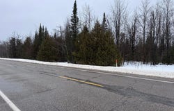 10 AC OLD 27 N HIGHWAY, VANDERBILT, MI 49795