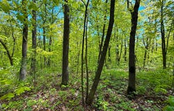 469th st, Garrison, MN 56450