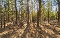 15785 Shellie Lane, La Pine, OR 97739