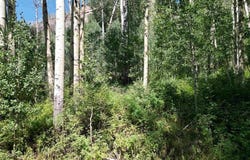 718 Hermosa Cliffs Road, Durango, CO 81303
