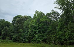 Pelzer, SC 29669