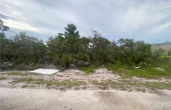 321 Brant Avenue, Sebring, FL 33870
