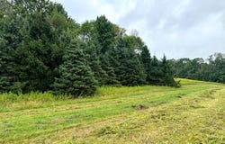 1.9 Brigham Rd, Richford, NY 13835