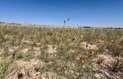 436D PR 107-E, Seminole, TX 79360