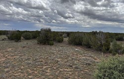 8 County Road 8080, Concho, AZ 85924