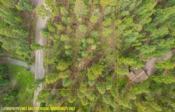 29 N1068, Greer, AZ 85927