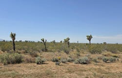 173rd E W12, Llano, CA 93544