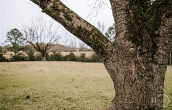 Sandy Cross Road, Lexington, GA 30648