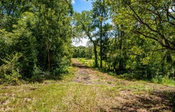 Private Road 1425, Centerville, TX 75833