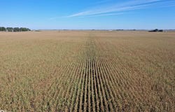 County Highway B63, Mallard, IA 50562
