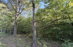 00-0 Tabscott Rd, Kents Store, VA 23084