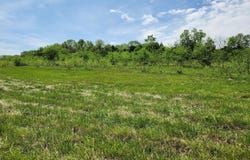 River Pass Drive Lot 4 Phase 1, Marshfield, MO 65706