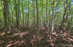 113 Meditation Ridge Drive, Nebo, NC 28761