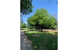 833 Boyd Road, Azle, TX 76020