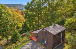 150 LONGS OVERLOOK, MCHENRY, MD 21541