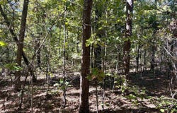 Shirley, AR 72088