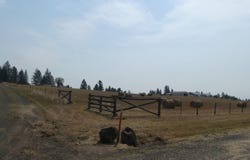 45 Kim Place, Kamiah, ID 83536