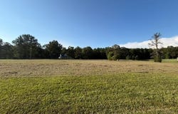 4420 Gilead Rd, Clinton, LA 70722