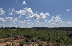 Country Road 428, PARIS, MS 38949