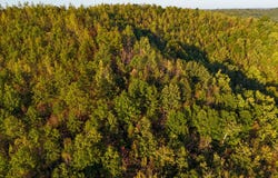Shepard Fork Rd., West Portsmouth, OH 45663