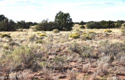 Santa Clara Road, Williams, AZ 86046