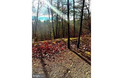 KING Street, BASYE, VA 22810
