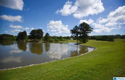 1641 EMBRY BEND ROAD, LINCOLN, AL 35096